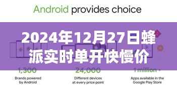 蜂派实时单开快慢价格详解(2024年12月27日)