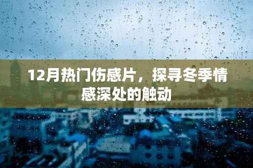 冬季热门伤感电影,情感深处的触动