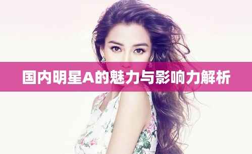国内明星A的魅力与影响力解析