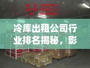 冷库出租公司行业排名揭秘,影响力与服务质量一览
